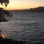 Barbara Dougan - @bfdsydney - Instagram