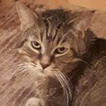 Barbara Doust - @barbaradoust9584 - Instagram