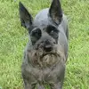 Barbara Dow Sprague - @barbara.dow.sprag - TikTok