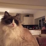 Barbara Dowey - @doweybarbara - Instagram