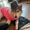 Barbara Dowd593 - @barbaradowd78 - TikTok