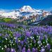 Barbara Dowd - Facebook