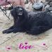 Barbara Dowd - Facebook