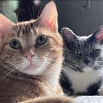 Barbara Downen - @bardow2020 - Instagram