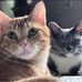 Barbara Downen - Facebook