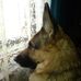 Barbara Downie - Facebook