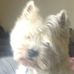 Barbara Downie - Facebook