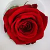 Barbara Dragan733 - @barbarad1981 - TikTok