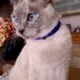 Barbara Drago - Facebook