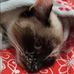 Barbara Dragon - Facebook