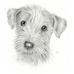 Barbara Dragone - Facebook
