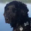 barbaradransfeld - @barbaradransfeld - TikTok