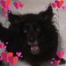 Barbara Dugan - Facebook
