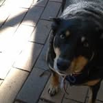 Barbara Duke - @barbaraduke1968 - Instagram
