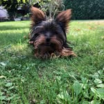 Barbara Durand - @bdp3911 - Instagram