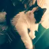 Barbara duran t. - @barbaradurantoscano - TikTok