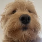 Barbara Durant - @bardur9201 - Instagram