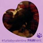Barbara Linck Durfee - @barbara.l.durfee - Instagram