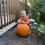 Barbara Durkin - @babb_5 - Instagram