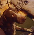 Barbara Durocher - Facebook