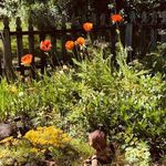 Barbara Dury - @barb48green - Instagram