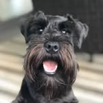 Barbara Duston - @dustonbarbara - Instagram