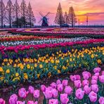 Barbara Duval - Facebook