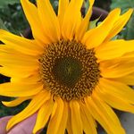 Barbara Dyson - @barbara.dyson.370 - Instagram