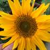Barbara Dyson - Facebook