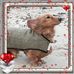 Barbara Eades - Facebook