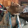 Barbara Hearing - @barbarahearing - TikTok