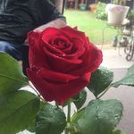 Barbara Earp - @barbaraearp - Instagram