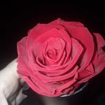 Barbara Eason - @eason9256 - Instagram