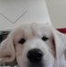Barbara Easterday Spangler - Facebook