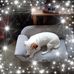 Barbara Eastham - Facebook