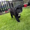 Barbara Easton - @barbara.easton - TikTok