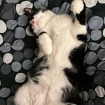 Barbara Eberhard - @baeliren - Instagram
