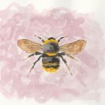 Barbara Ebersole - @watercolorsbymissb - Instagram