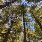 Barbara Ebert - @barbebert11 - Instagram