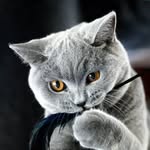 Barbara Ebert - @babsie_precious_angels - Instagram