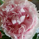 ebert barbara - @barbara.ebert.74 - Instagram
