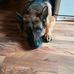 Barbara Ebner - Facebook