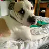 barbarareby - @barbaraspano780 - TikTok
