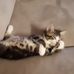 Barbara Eccher - Facebook