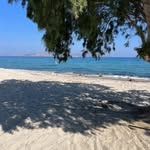 Barbara Eccher - @eccherb - Instagram