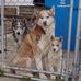Barbara Eicher - Facebook