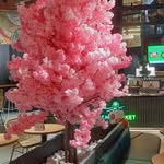 Barbara Eck - @barbara.eck.50 - Instagram