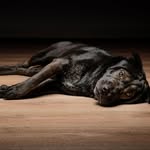 Barbara Eckart - @barbara.eckart.37 - Instagram