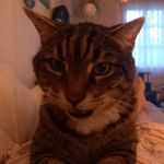 Barbara Eckert - @barbaraeckert99 - Instagram