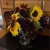 barbaraeekhoff450 - @barbaraeekhoff450 - TikTok